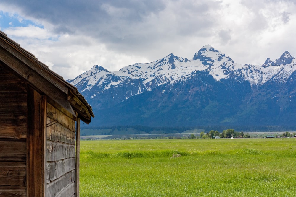 maison près de l’herbe pendant la journée