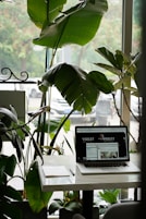 green-leafed plant near laptop and desk