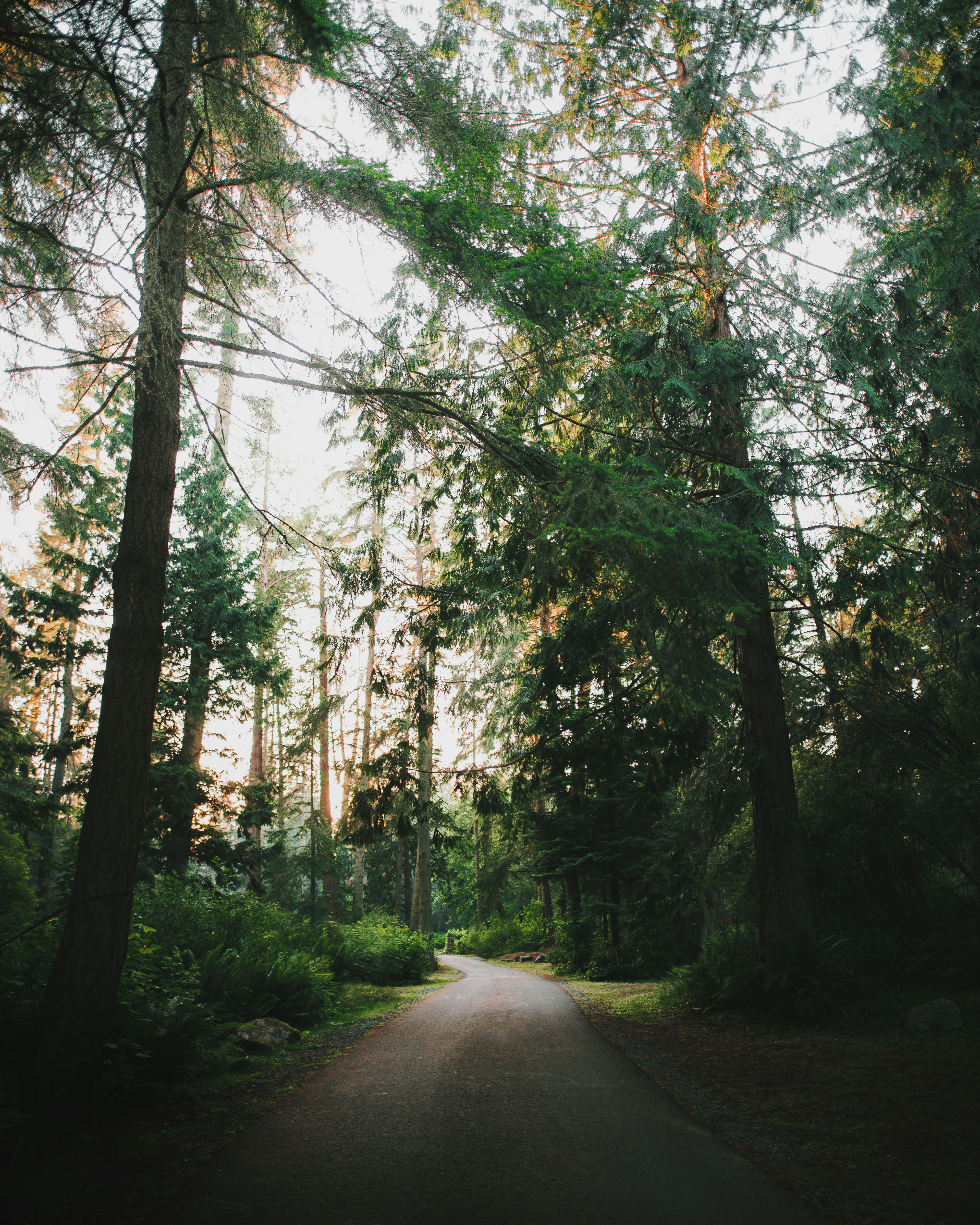 Photo by benmosesofin