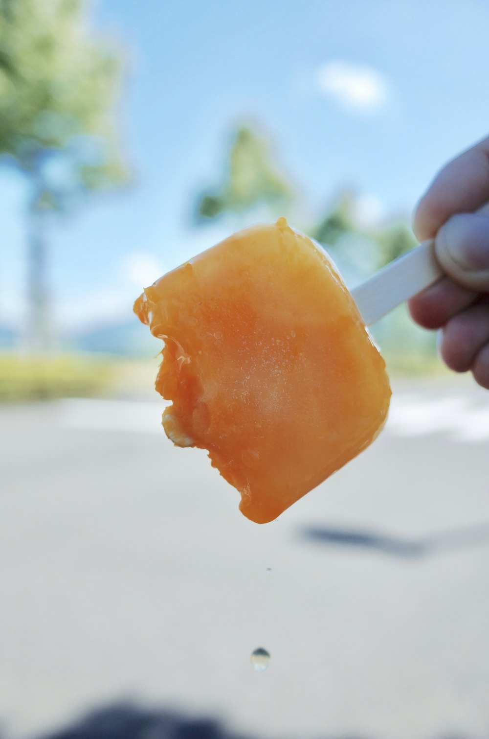 popcicle close-up photography