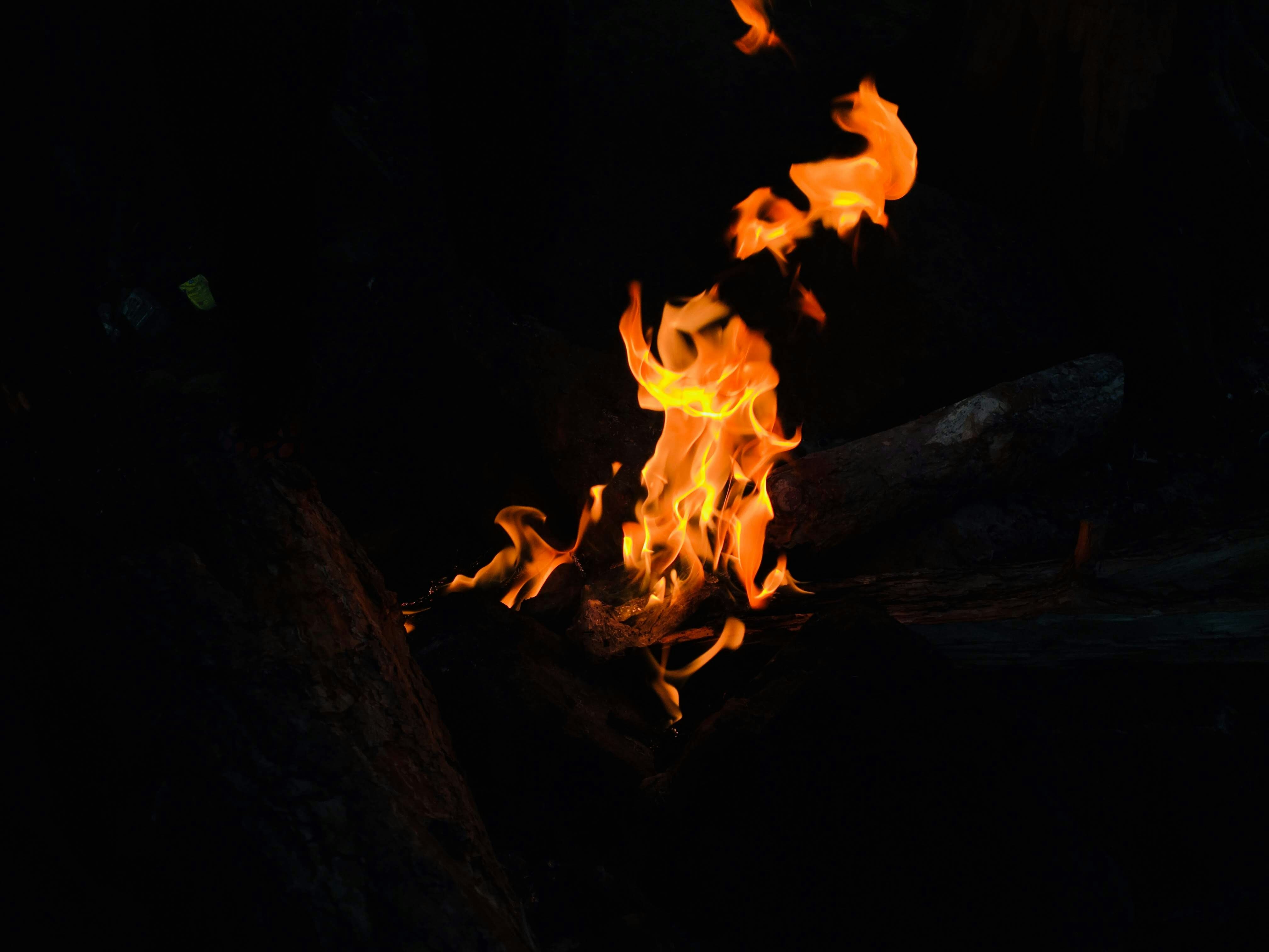 [Backyard fire pit night, Campfire in pine forest, Firefighter water hose, Dry autumn leaves fire], ilustrasi artikel Mastering Outdoor Fire Safety: Essential Tips for Backyard and Wildland Protection 9