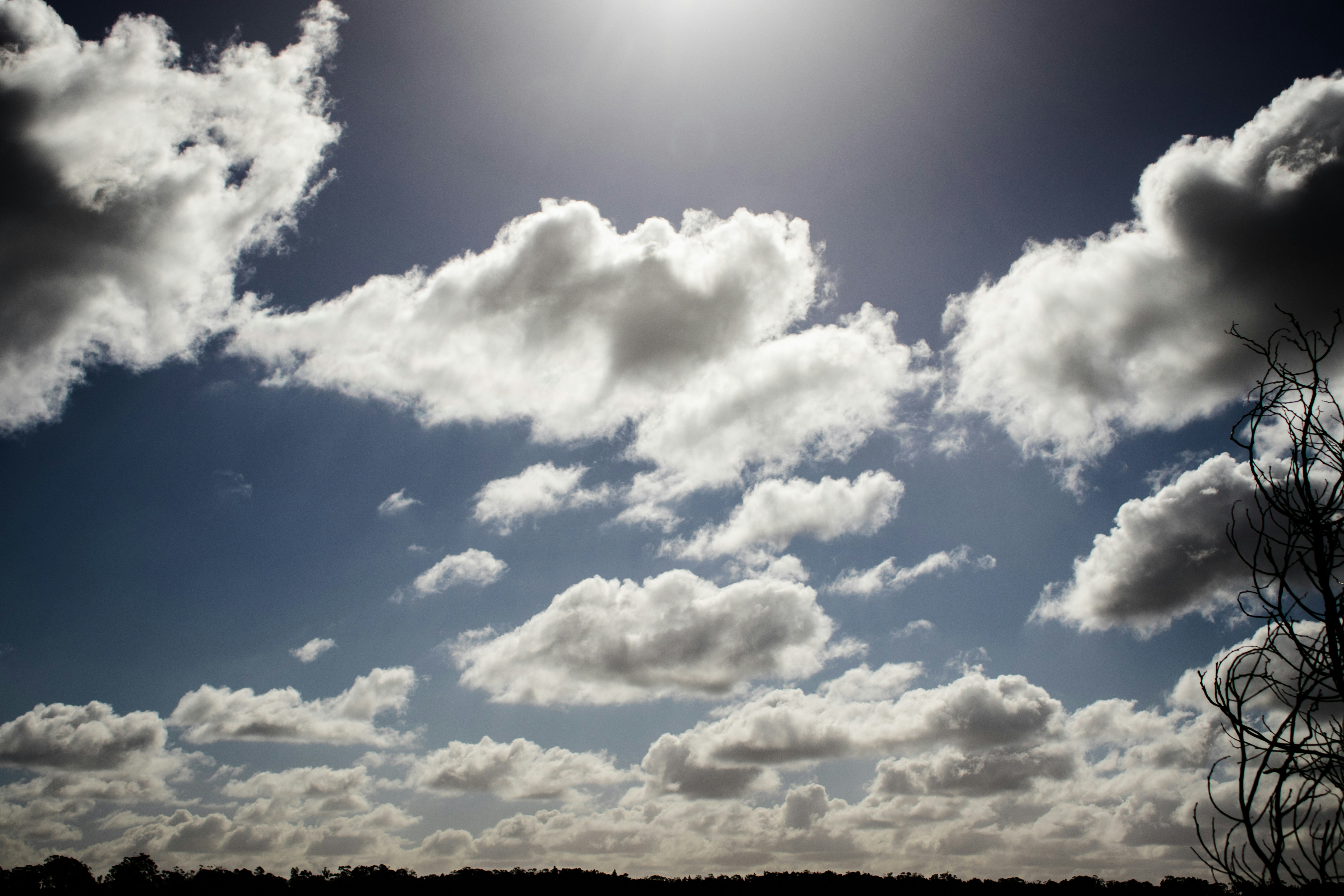 Photo by some_random_guy