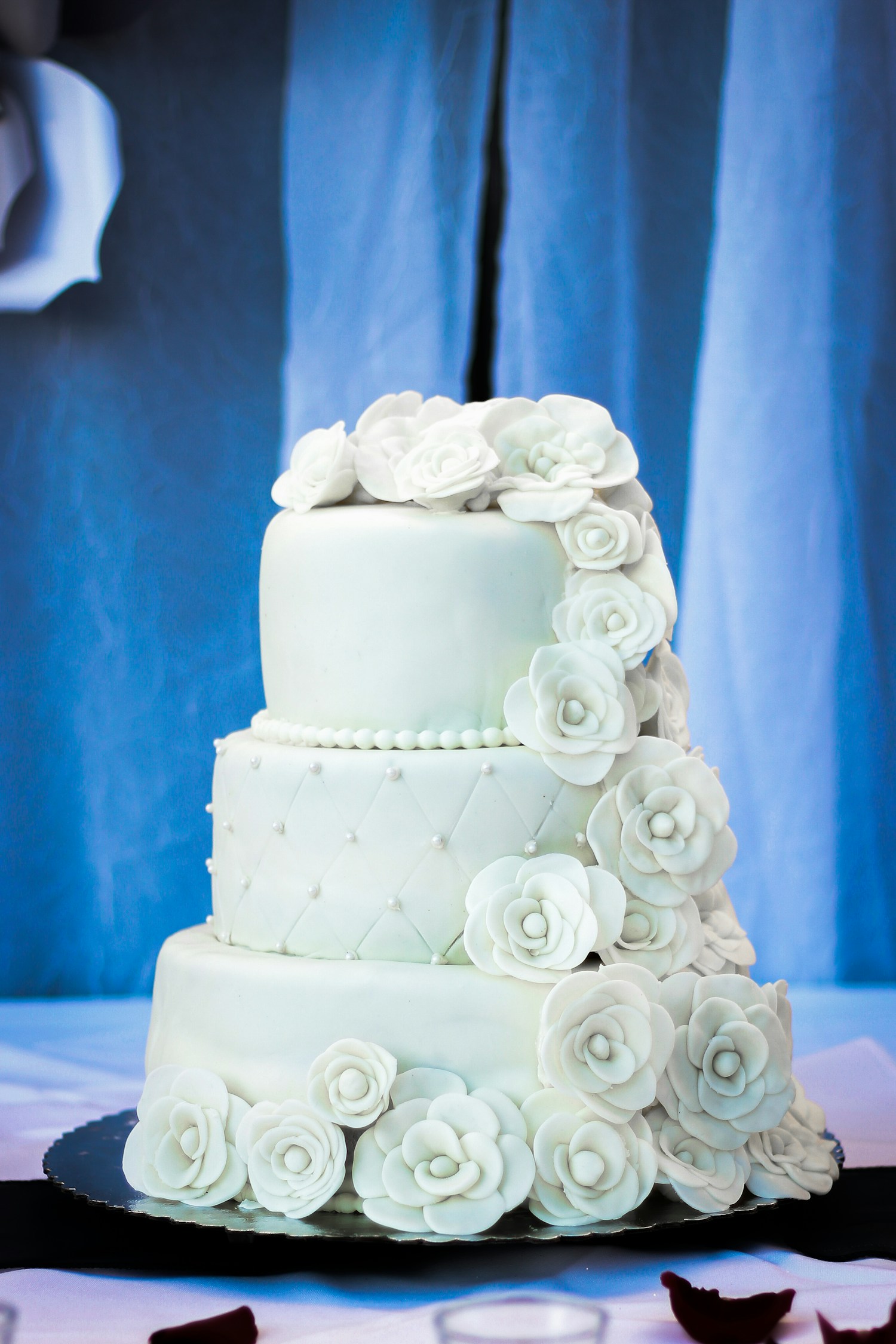 Delicious Cake Recipes