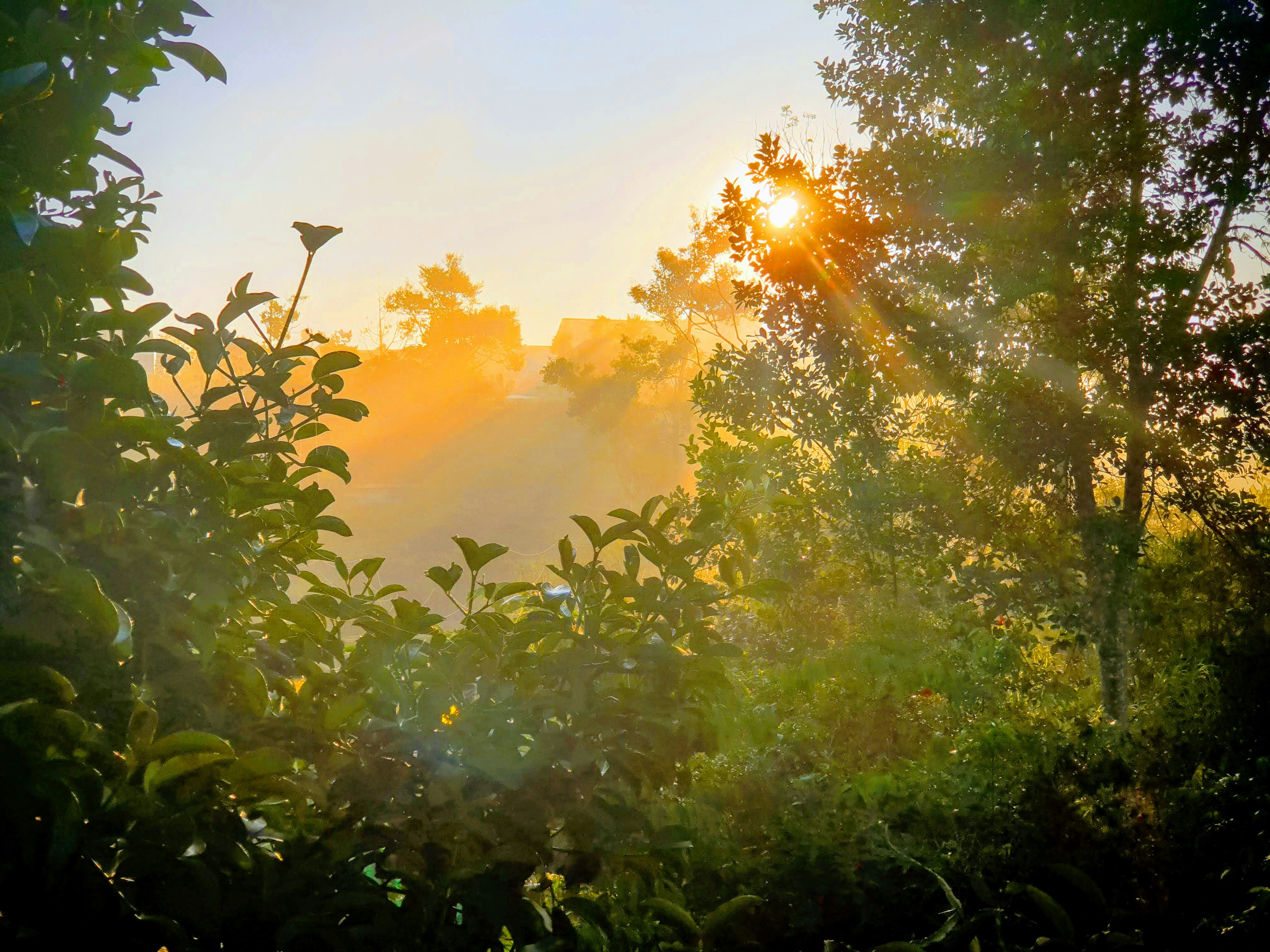 Photo by hoanglebrandsketer