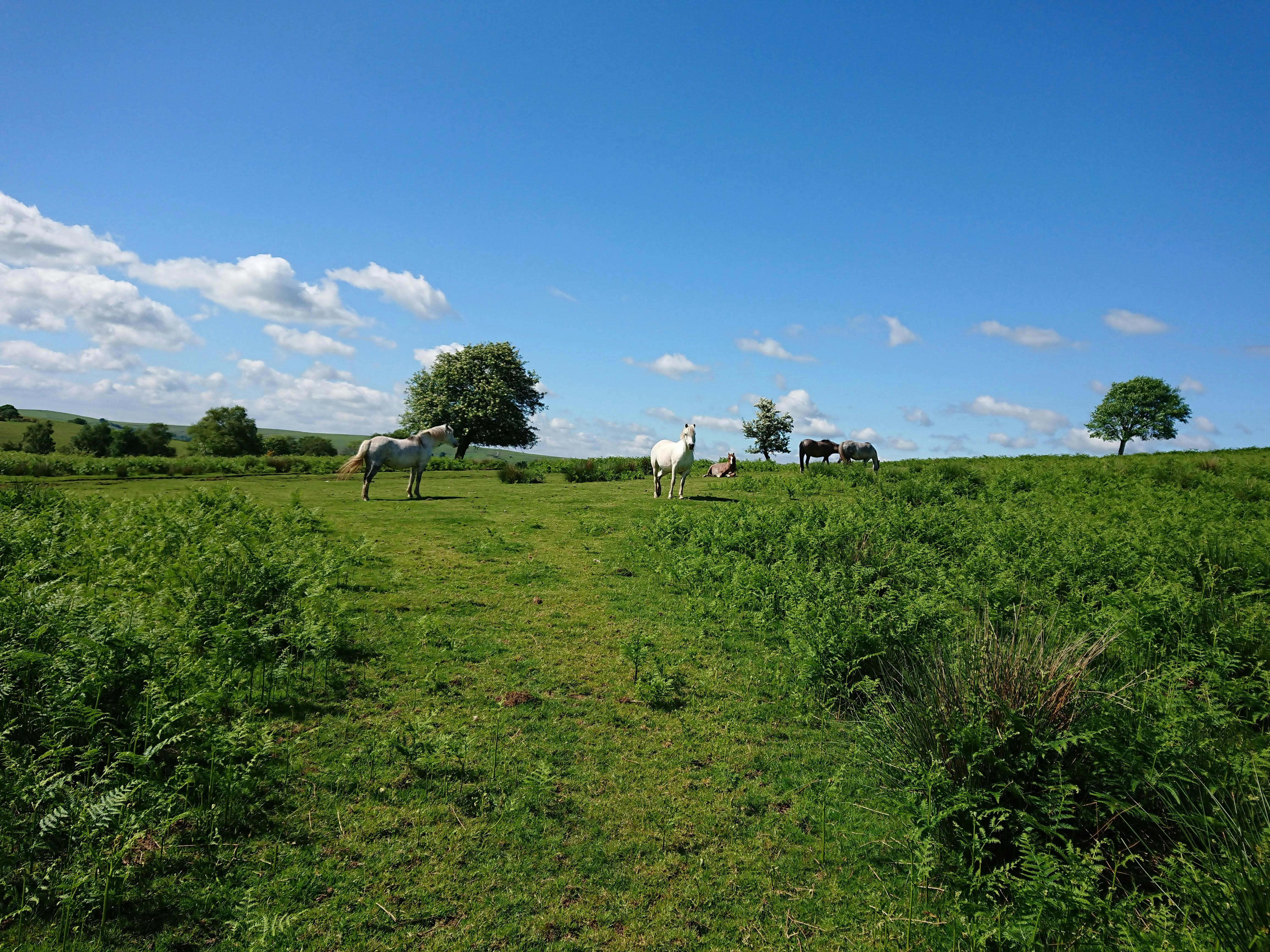 Photo by campingwithstyle