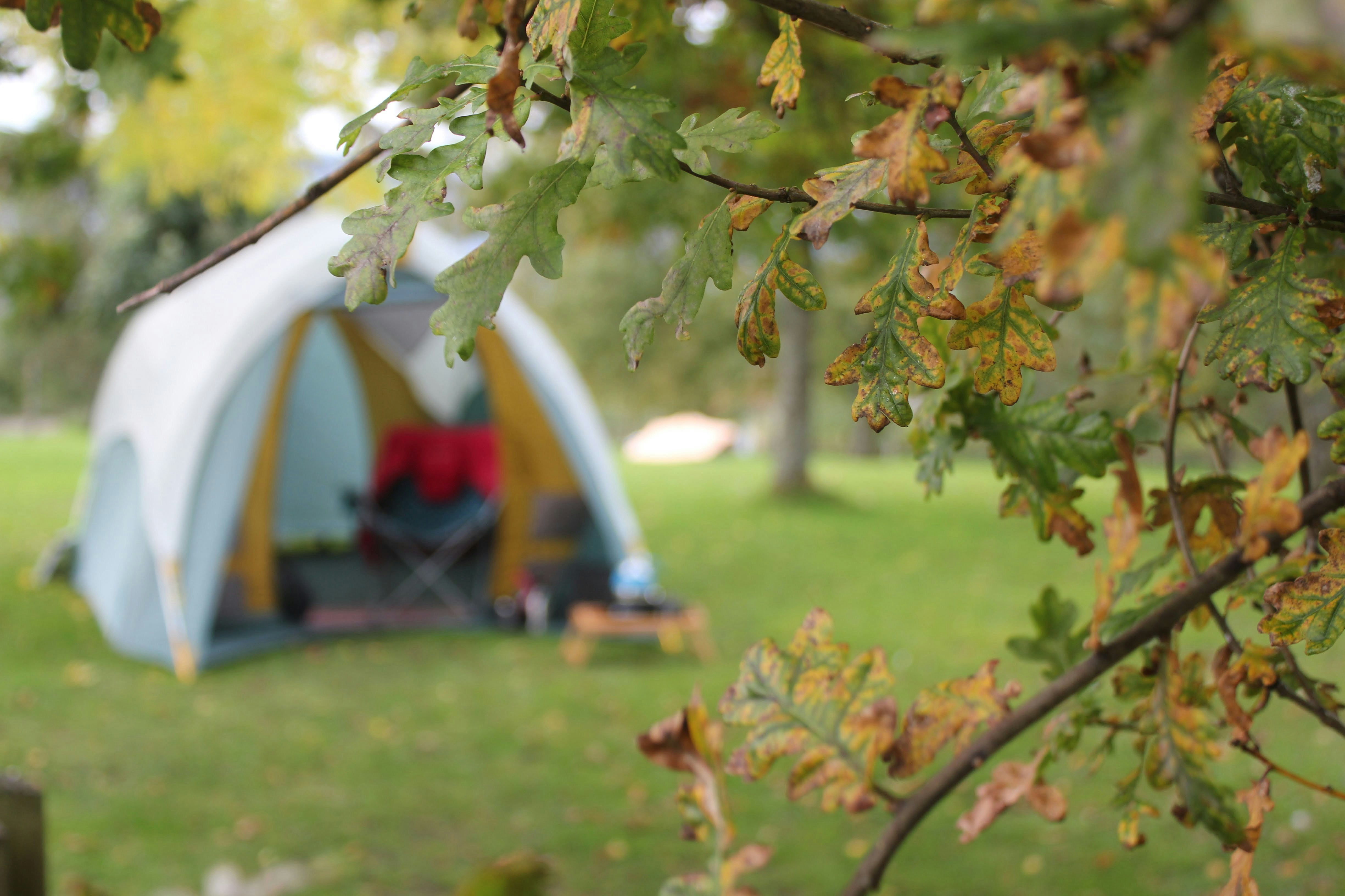 A tent in the Lake District during an Autumn camping trip showing leaves turning brown.