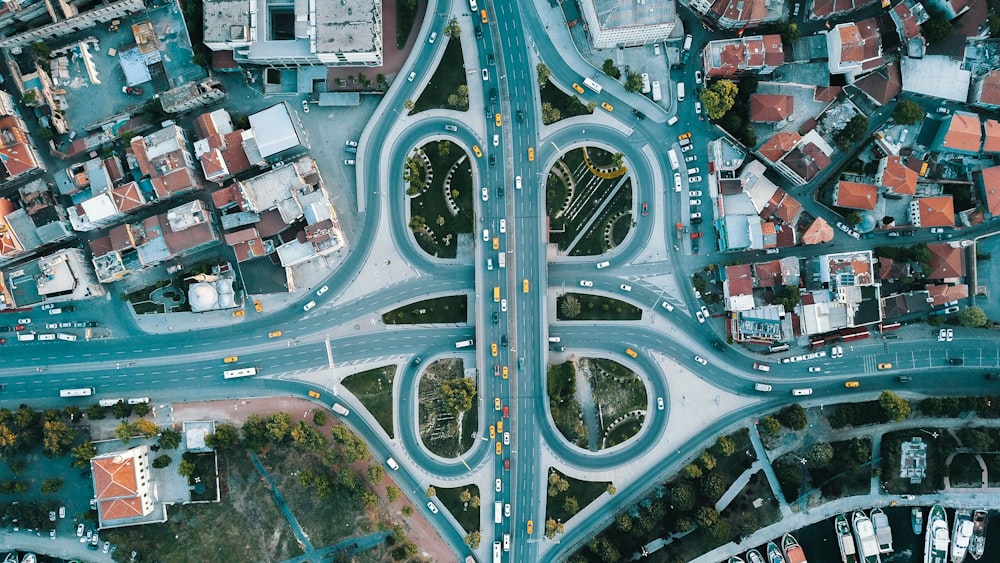 different vehicles on road during daytime