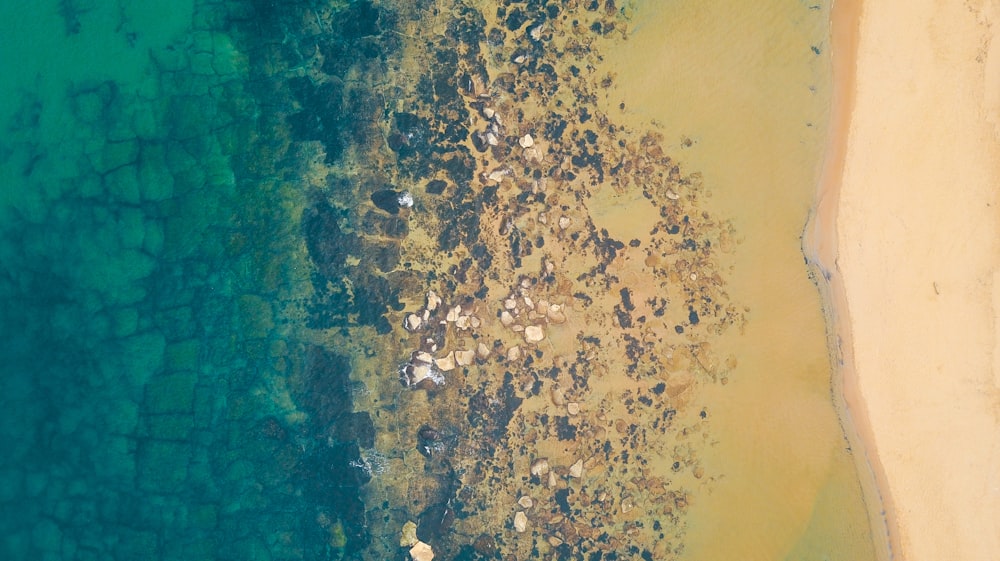 aerial photo of brown sand rocky beach