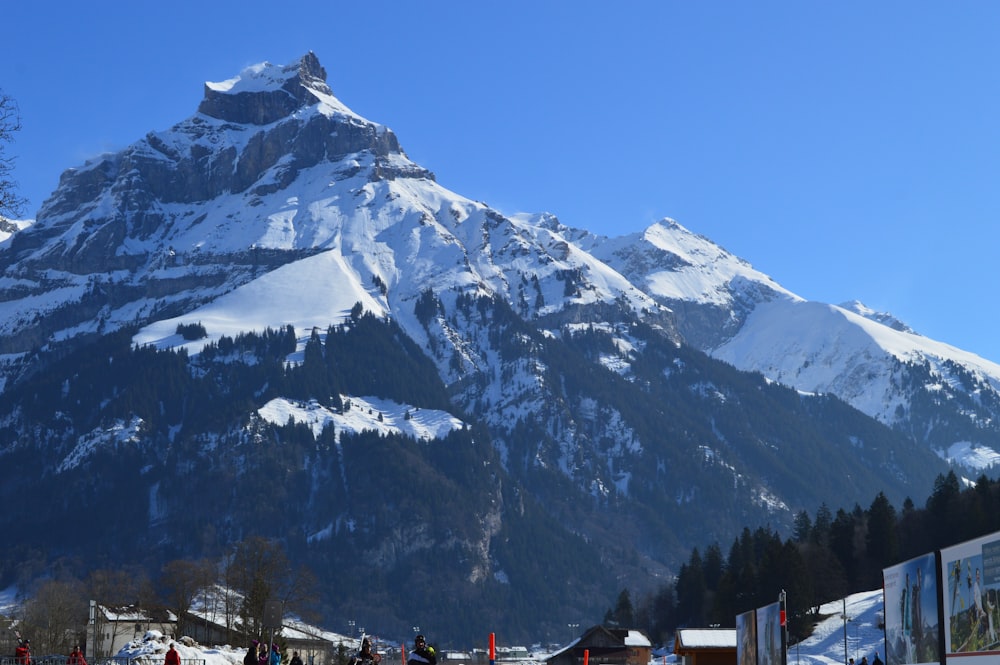 mount Everest near houses view