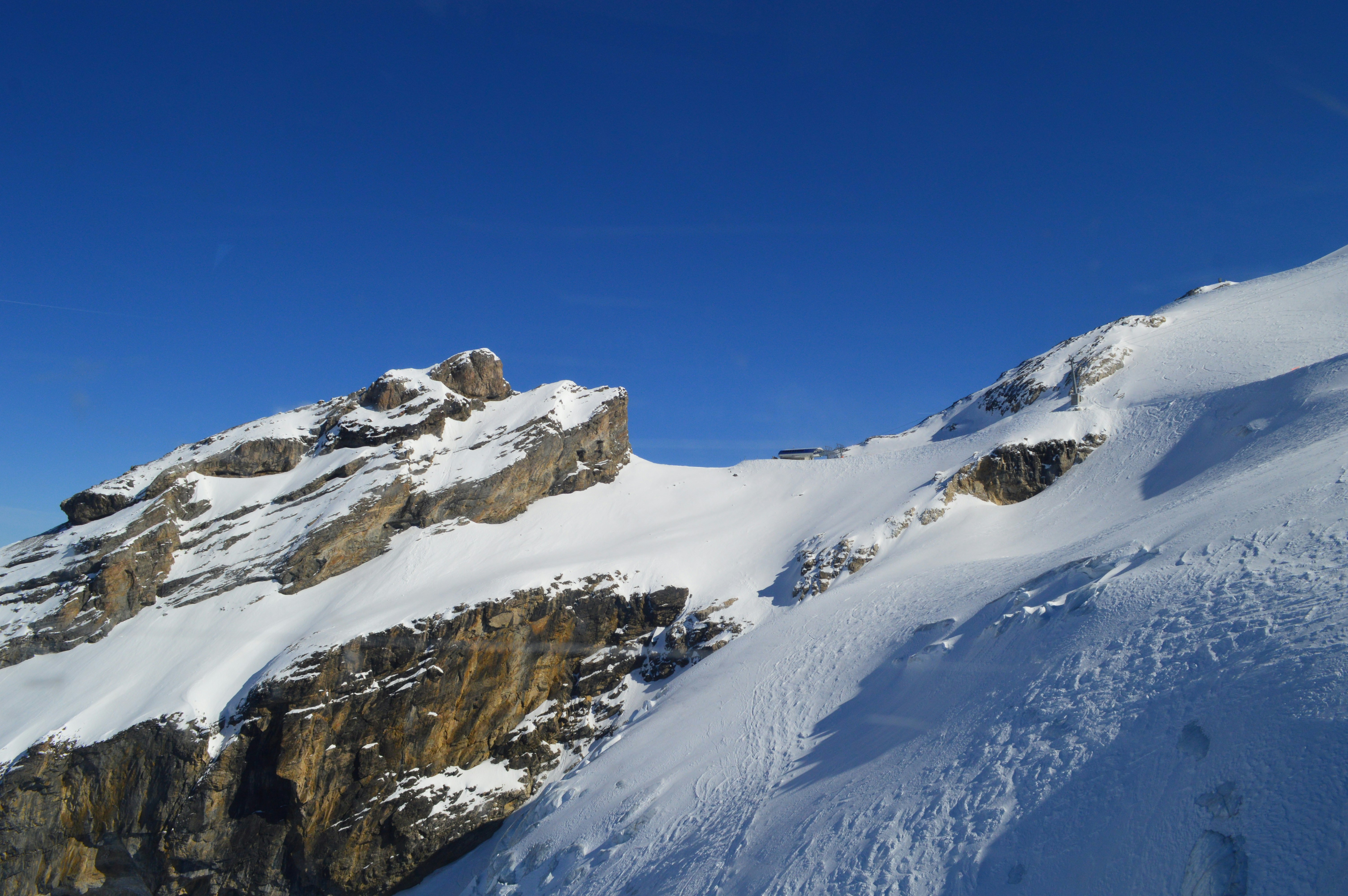 Photo by marvelwhite