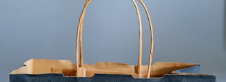 blue and brown tote bag