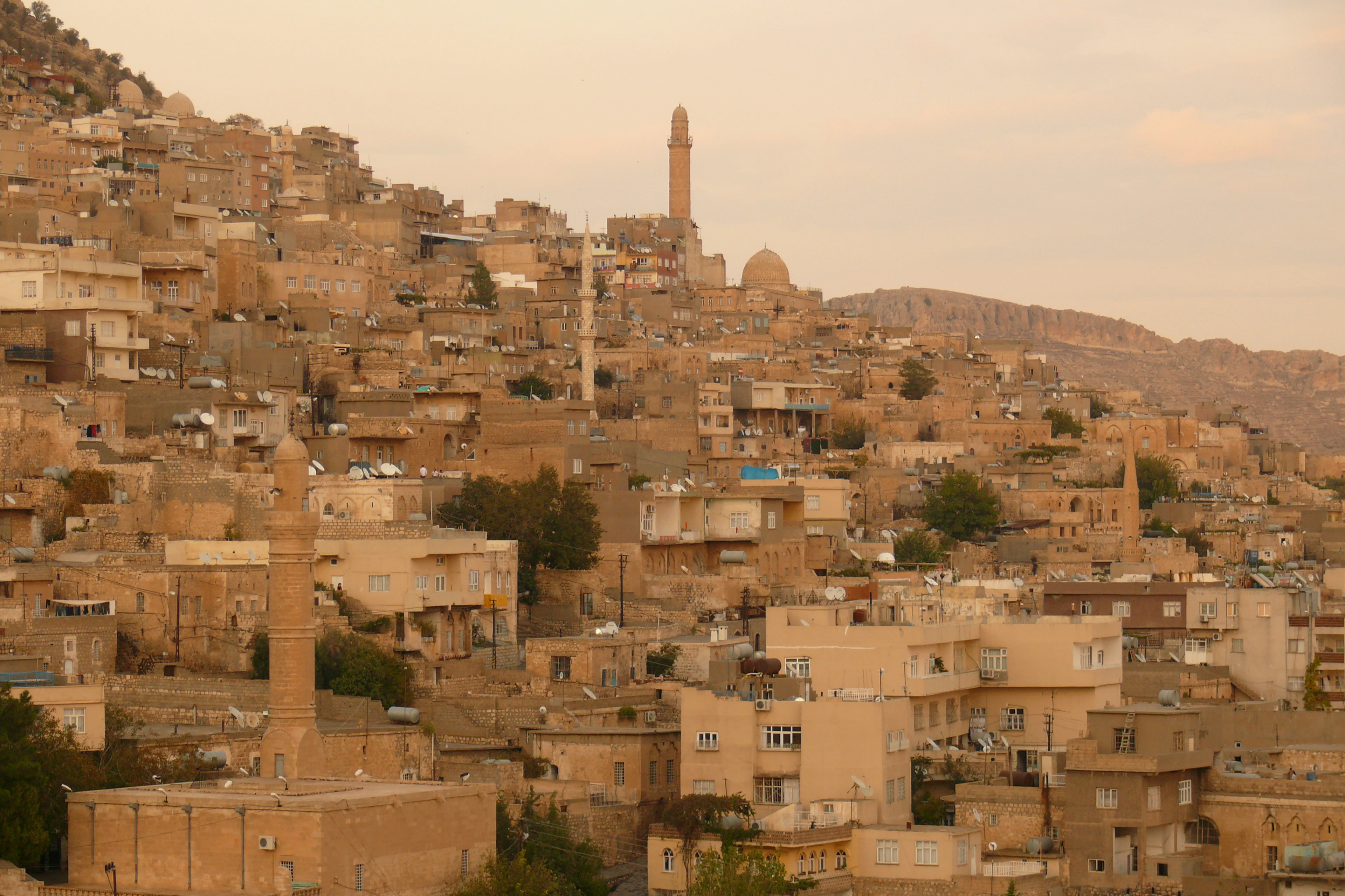 Mardin