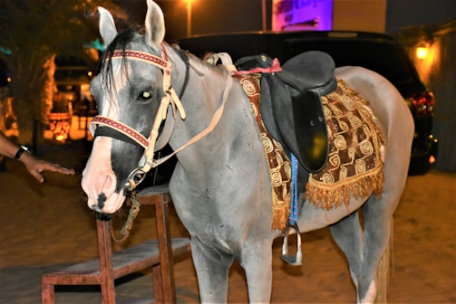 A white horse with dark patches near the eyes stands saddled, adorned with a decorative bridle and a colorful, patterned saddle blanket. The scene appears to be set outdoors at night with warm lighting from nearby lamps and a blurred automobile in the background.