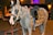 A white horse with dark patches near the eyes stands saddled, adorned with a decorative bridle and a colorful, patterned saddle blanket. The scene appears to be set outdoors at night with warm lighting from nearby lamps and a blurred automobile in the background.
