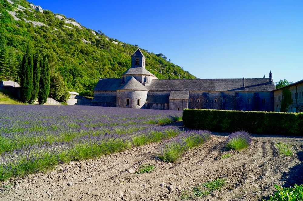 grey church building in foot of hill