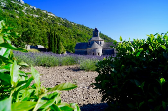 gray castle among violet-petaled flowers in Provence France