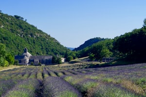 Provence wine tasting