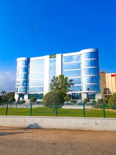 trees beside gray concrete building during daytme