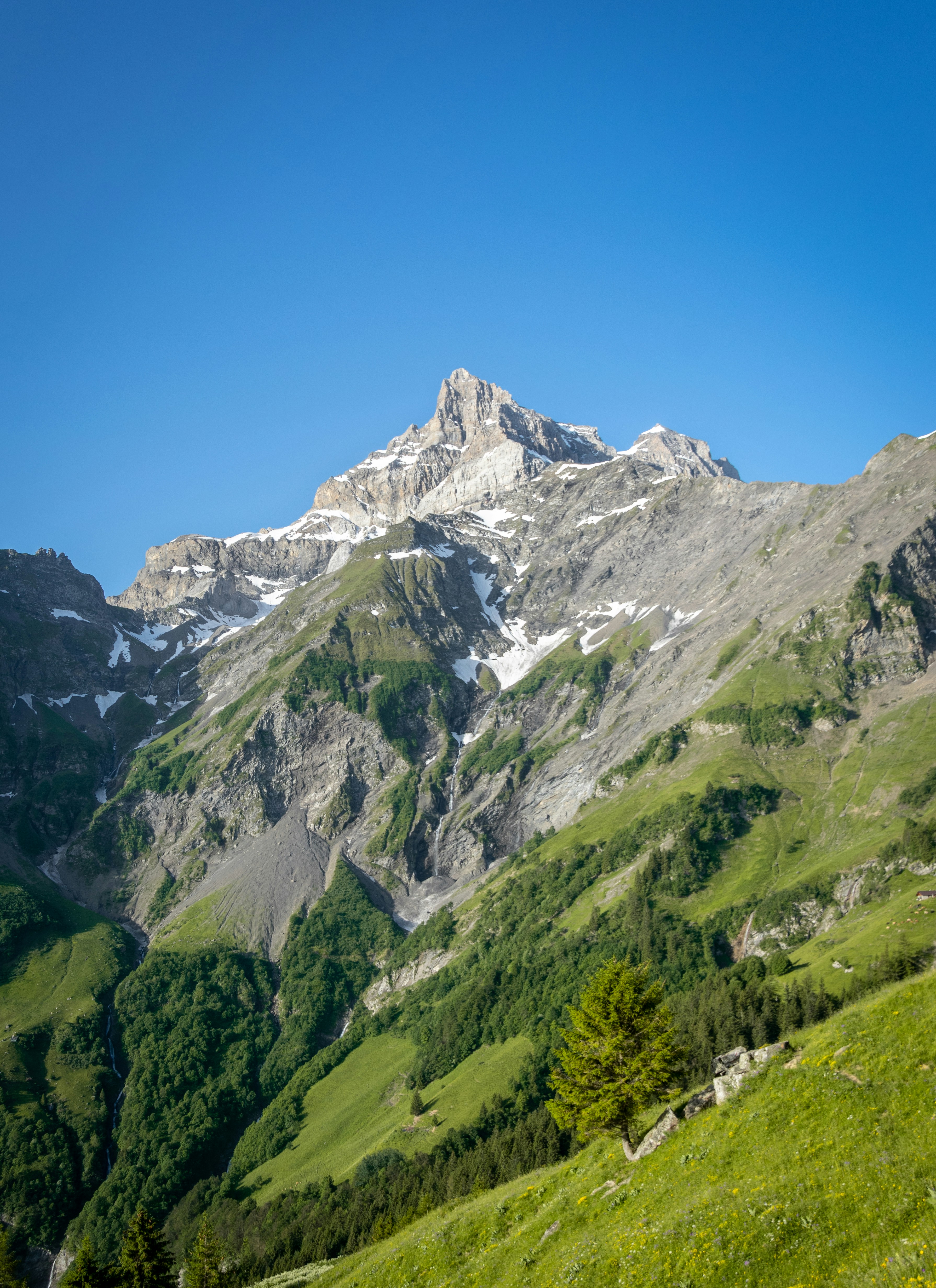 Photo by sebastiengoldberg