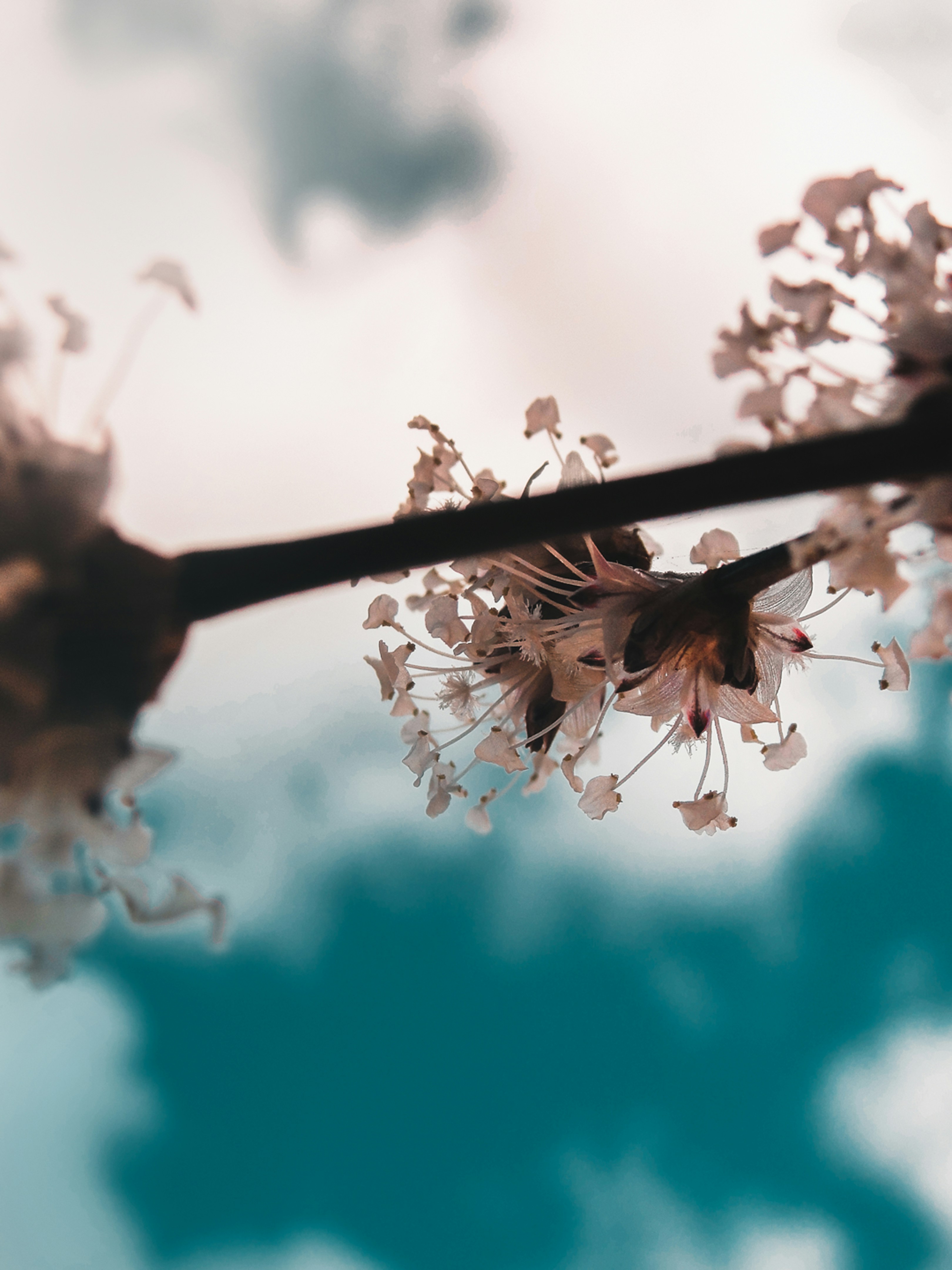 Photo by andrefonsecaa