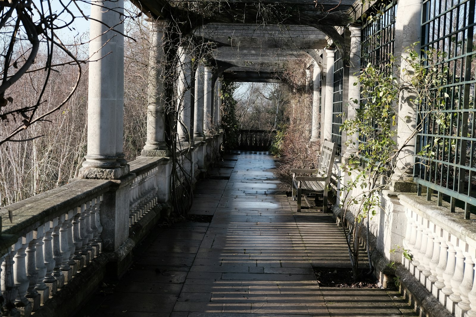 A long stone-flagged walkway beneath a vine-draped pergola with classical columns and balustrades in low winter sunlight