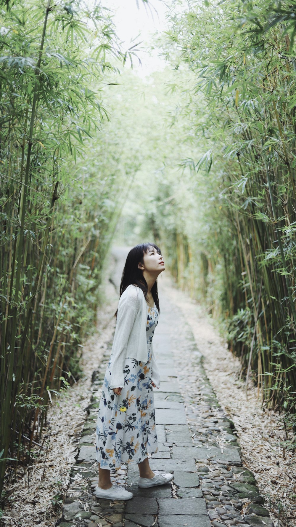 woman standing beside bamboo trees