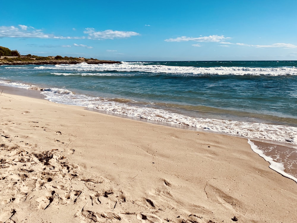 brown sand beach