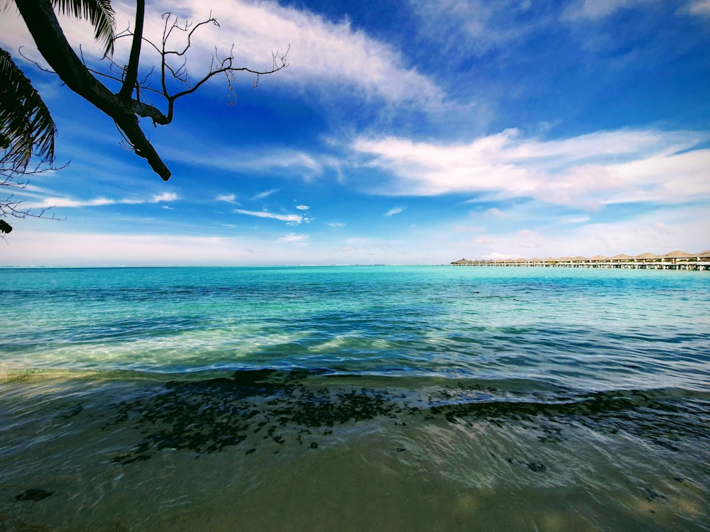 seashore during daytime