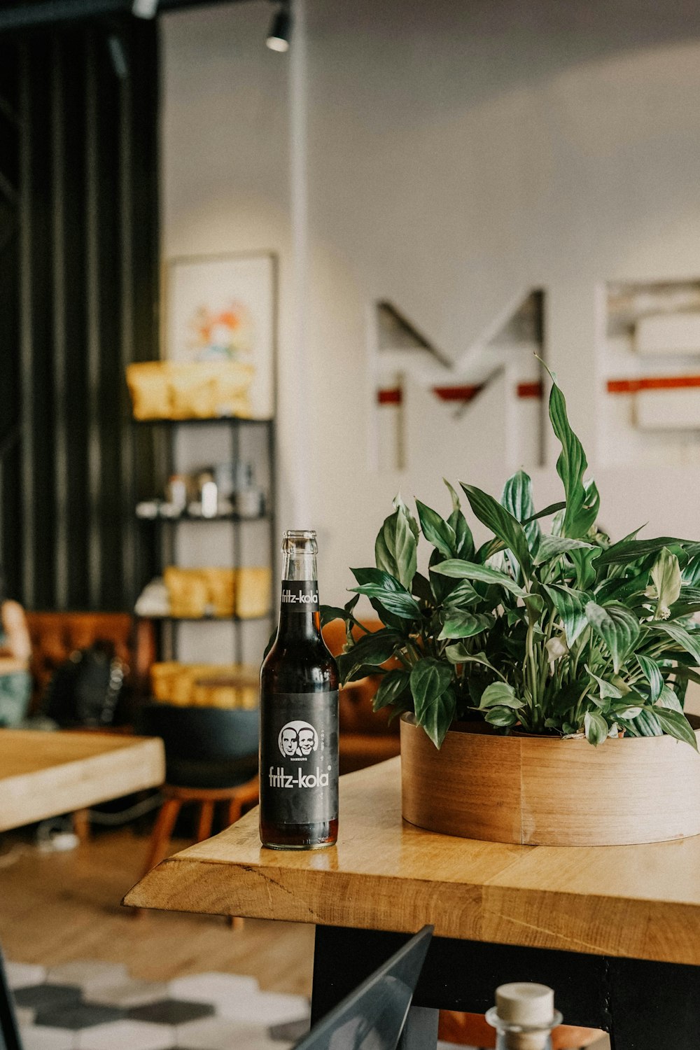 bottle beside plant on table