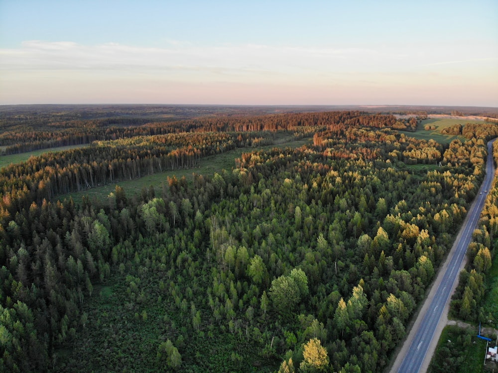 aerial view of rural area