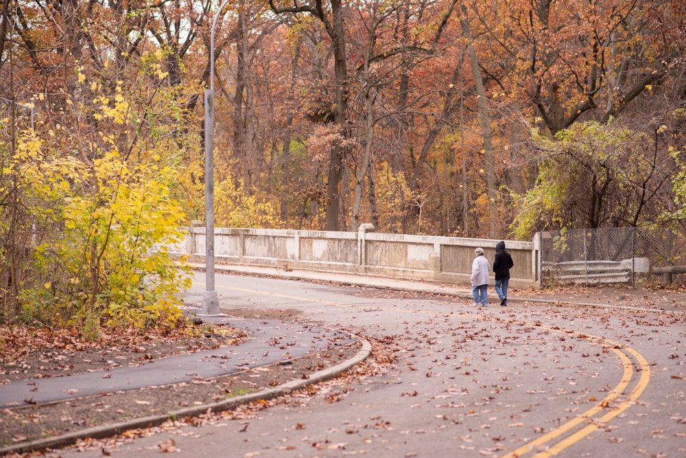 two women walking near trees