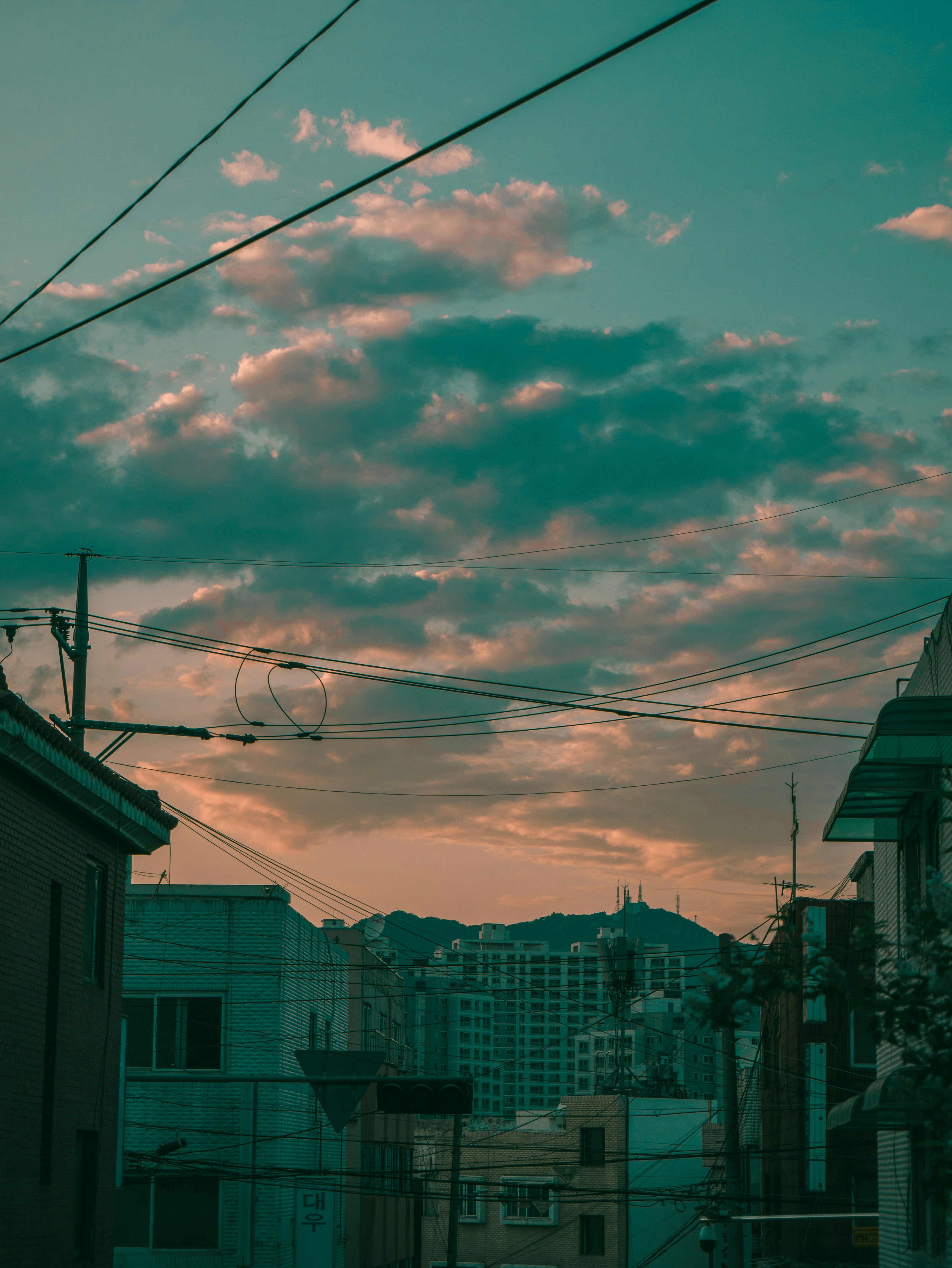 Photo by arisu_view
