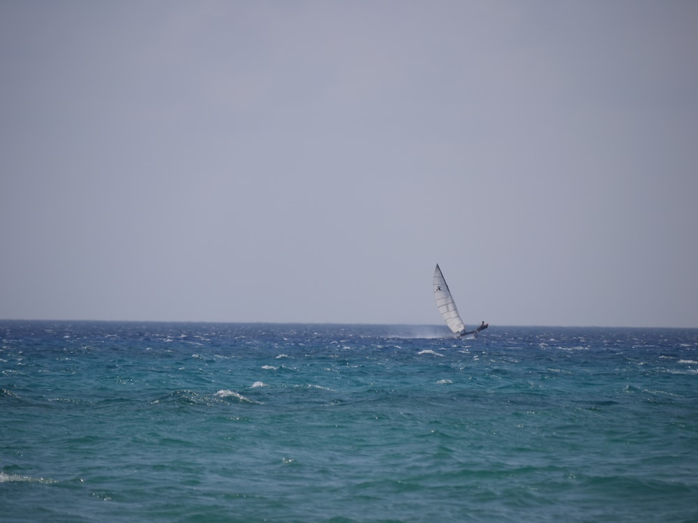 sailing surfboard on body of water