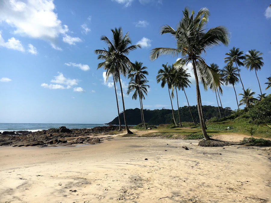 Ilhéus, Bahia