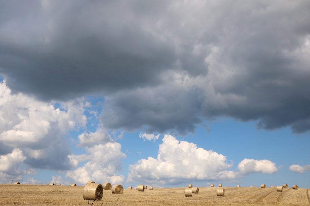 brown sod under white clouds and blue sky during daytime