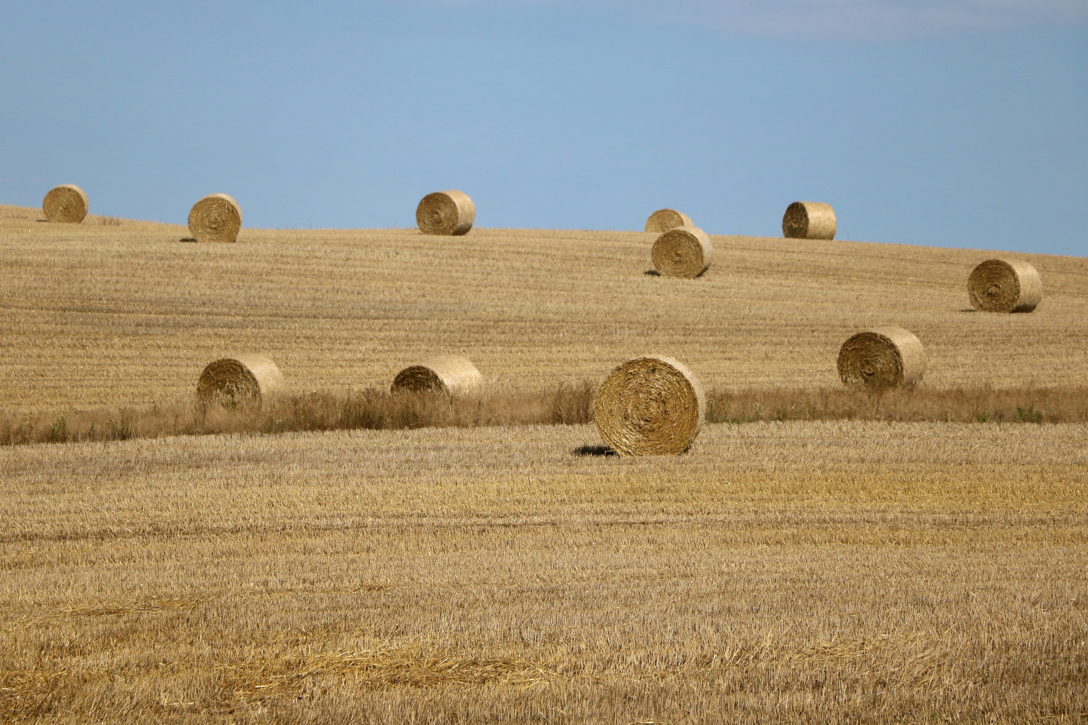 hay roll lot field during daytime