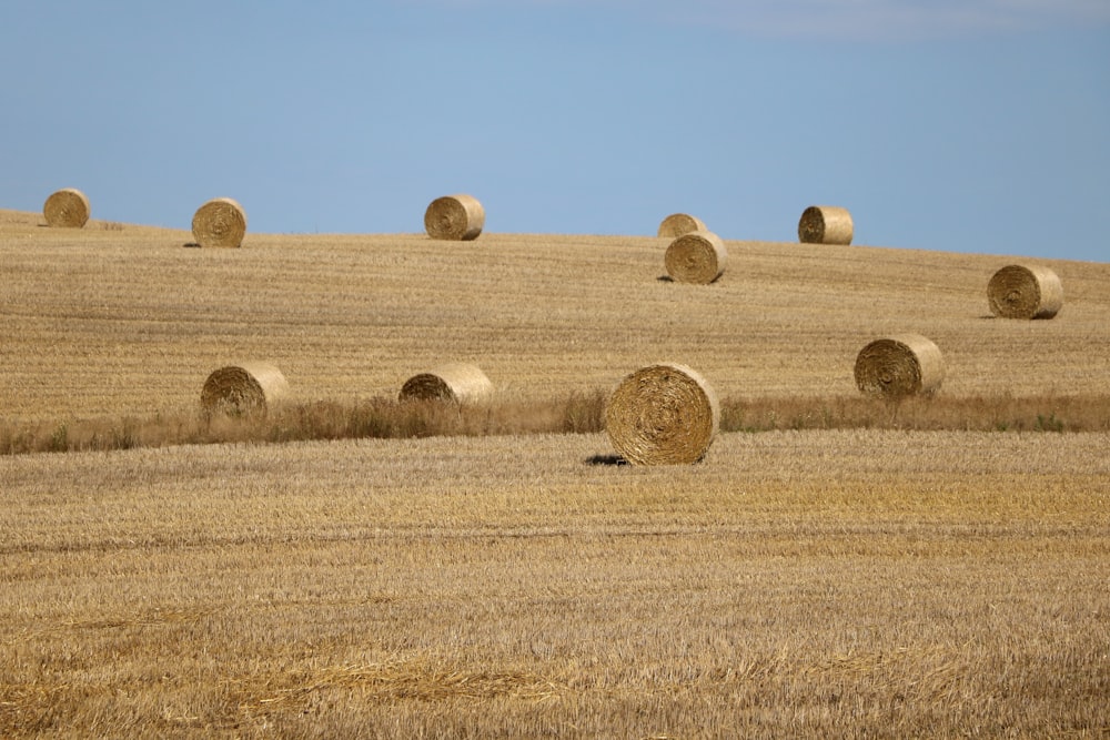 hay roll lot field during daytime