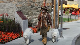 A person dressed in historical or rustic attire walks with two fluffy white dogs on leashes. They are strolling along a stone-paved path beside a vibrant bed of red flowers, with an old stone wall in the background. The dogs appear fluffy and have a cheerful demeanor. Nearby, there's a section with yellow umbrellas and red chairs suggesting an outdoor café or seating area.