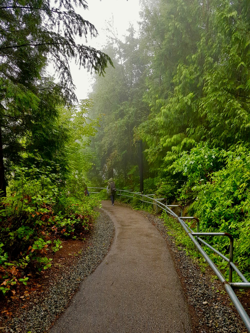 person walking on dirt pathway with metal handrail near trees