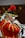 A person dressed in an elaborate historical uniform plays a trumpet. The uniform is red with gold trim and features a feathered hat, alongside white curly hair characteristic of historical wigs. The setting appears to be an indoor performance, possibly involving a group.