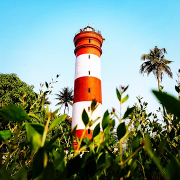 A tall red and white striped lighthouse stands prominently against a clear blue sky. Surrounding the lighthouse, there are green leafy plants and palm trees, adding a tropical feel to the scene.