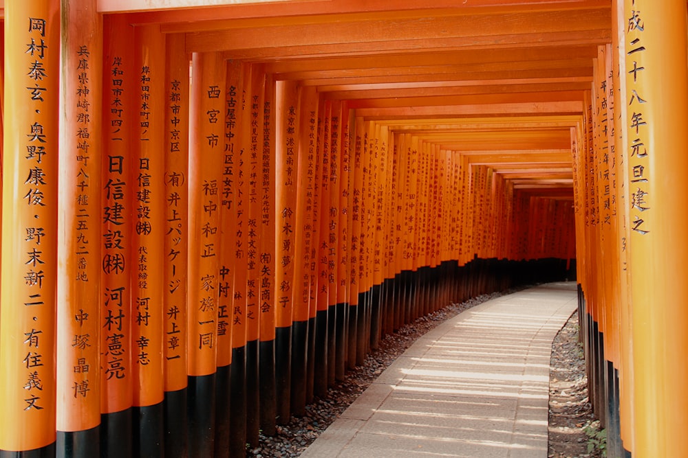 black and red arch tunnel