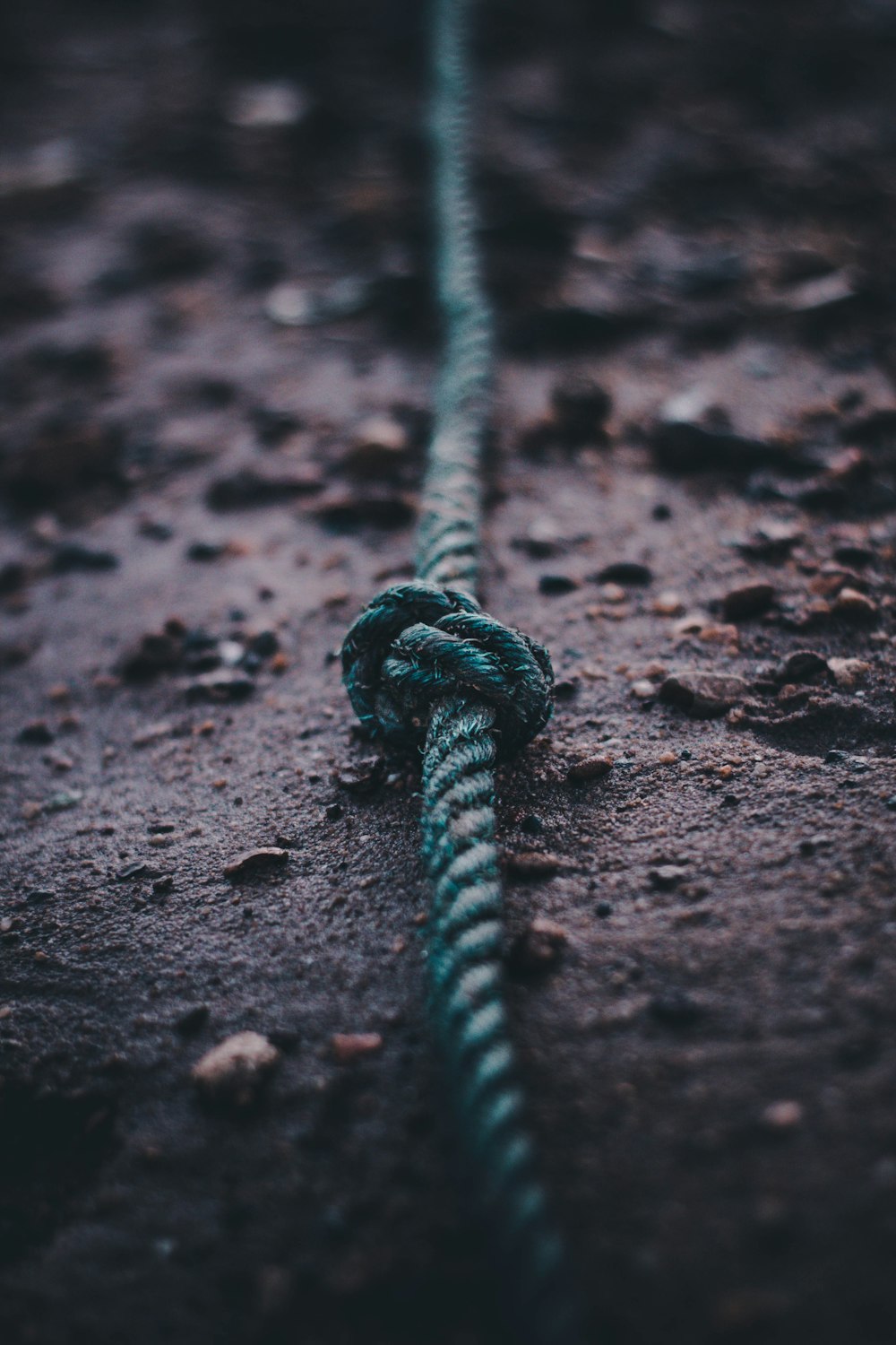 teal rope on soil