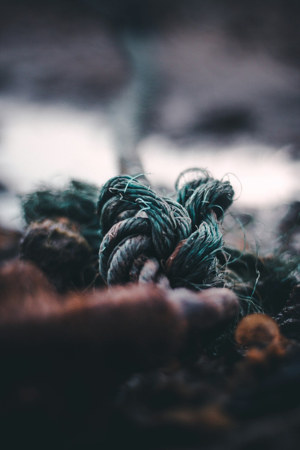 selective focus photography of green jute rope