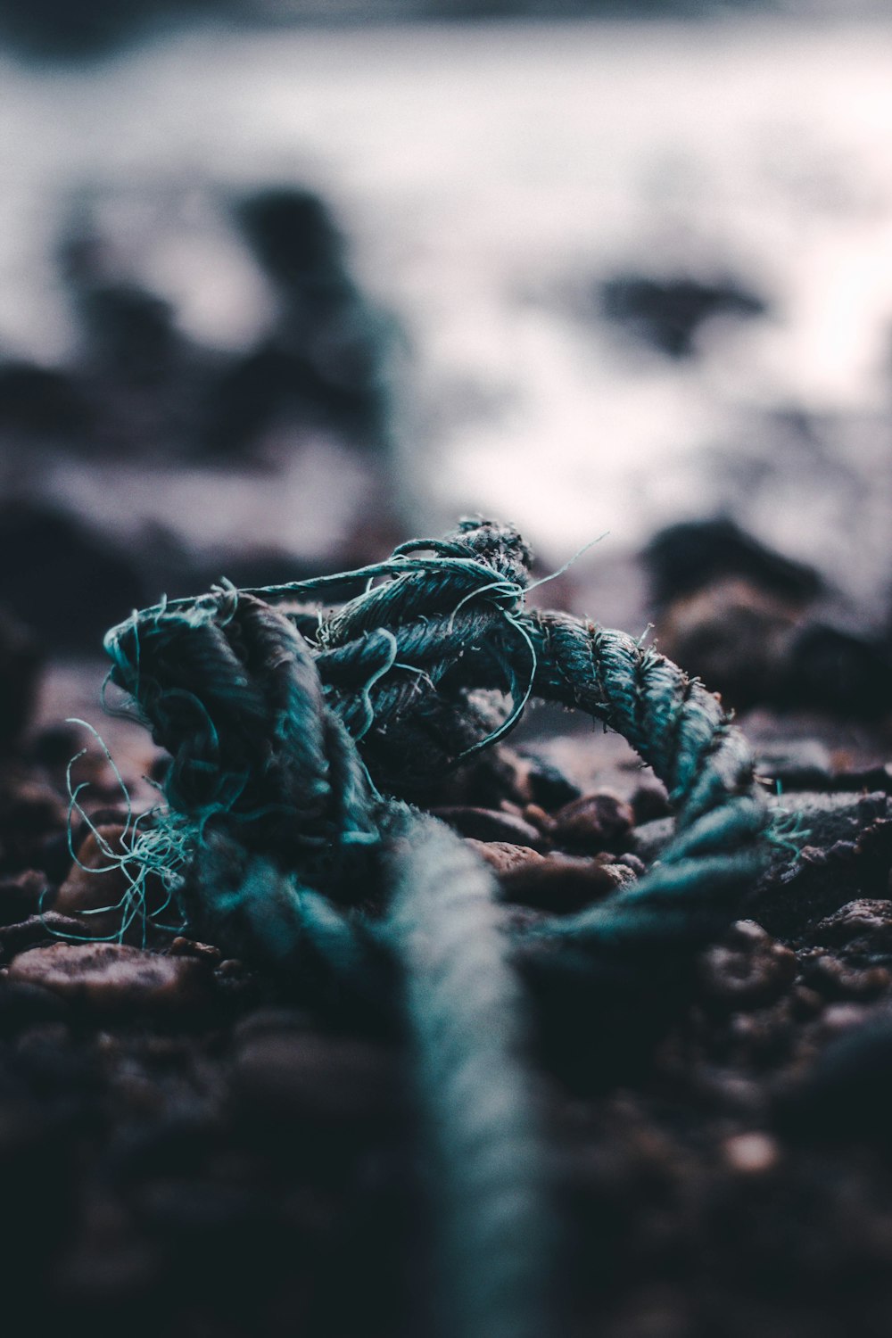 selective focus photography of blue rope