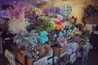 A vibrant floral shop display featuring a wide variety of colorful flowers arranged in vases and wrappings. The arrangement includes shades of pink, purple, orange, and white flowers, surrounded by lush green foliage. The setting is warm with exposed brick walls and decorative elements like wreaths and a neon sign.