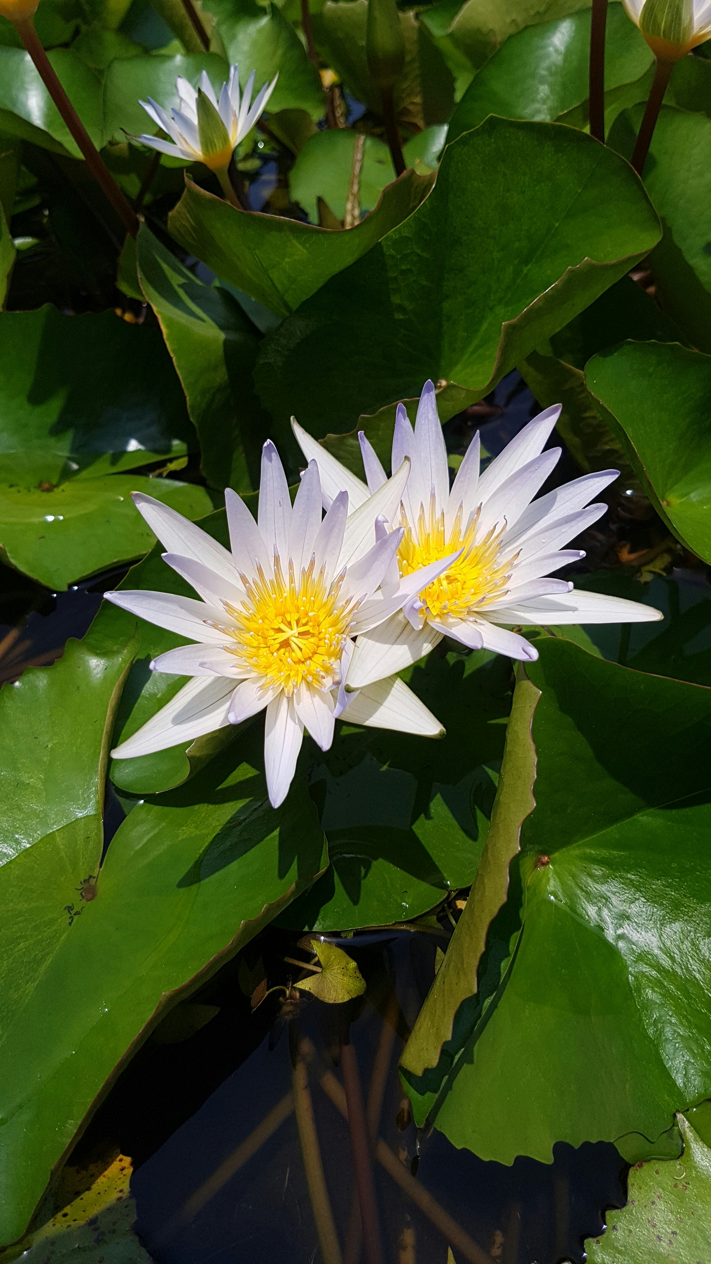 Photo by worldofsam13