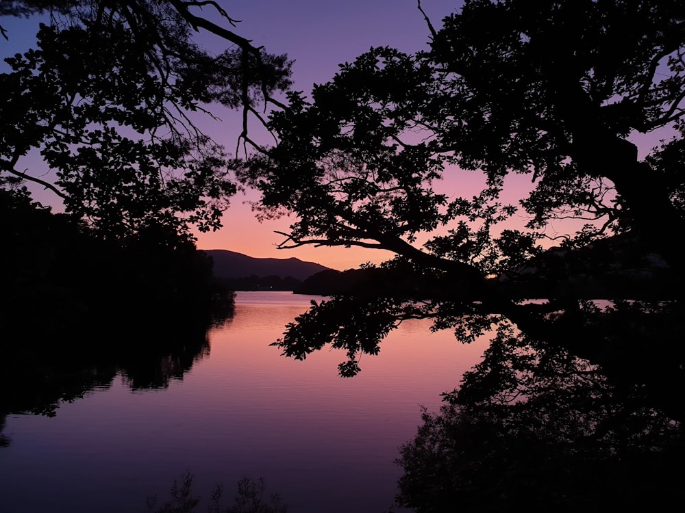 body of water during golden hour