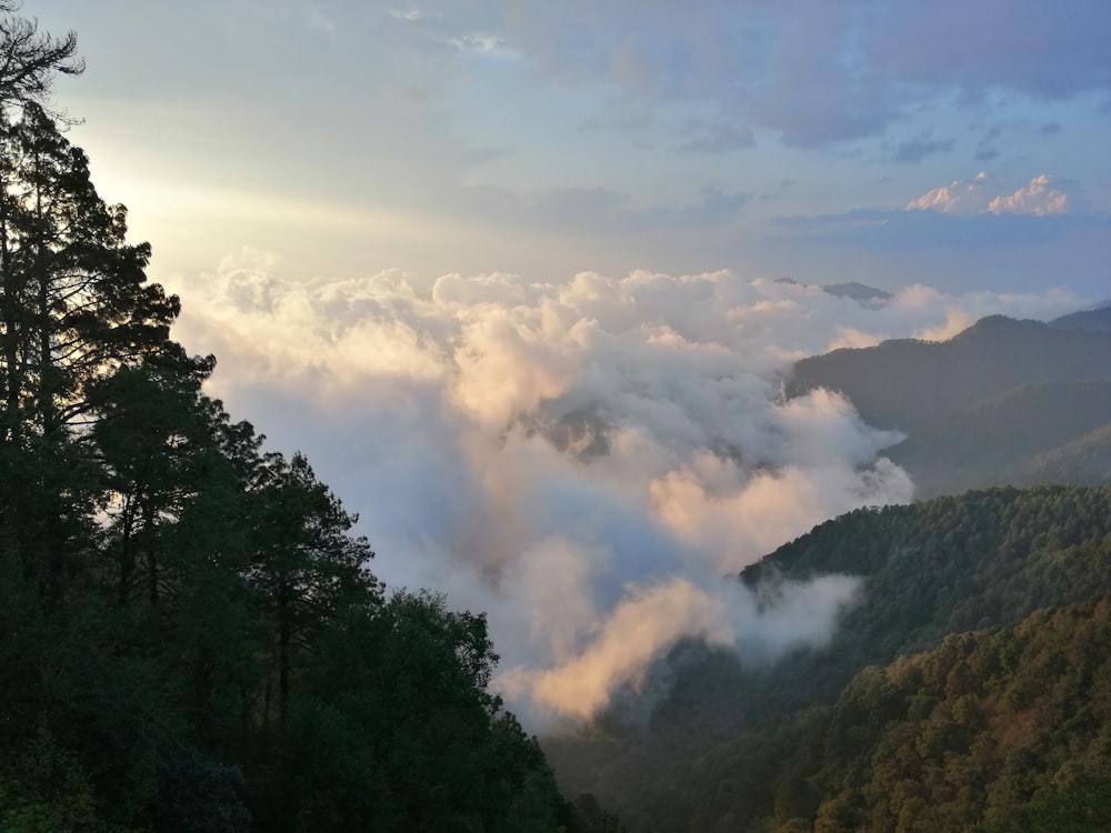 Grüne Bäume auf Bergen unter weißen Wolken