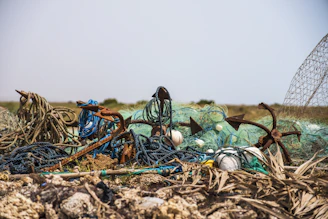 Divers removing ghost nets tangled around a rocky seabed